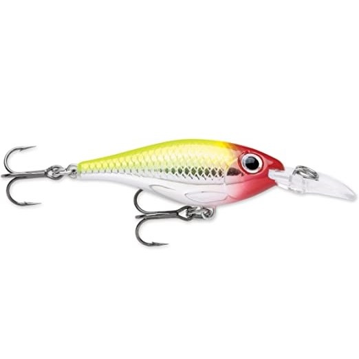 Rapala vise l’Elite des leurres - Fish and Test