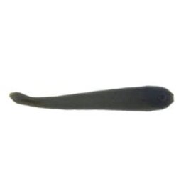 Berkley Gulp Leech Black Olive 3In