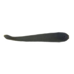 Berkley Gulp! Leech - Black - 3in