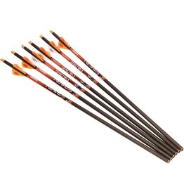 Ravin Flèches Ravin en Carbon 400g avec Encoches
