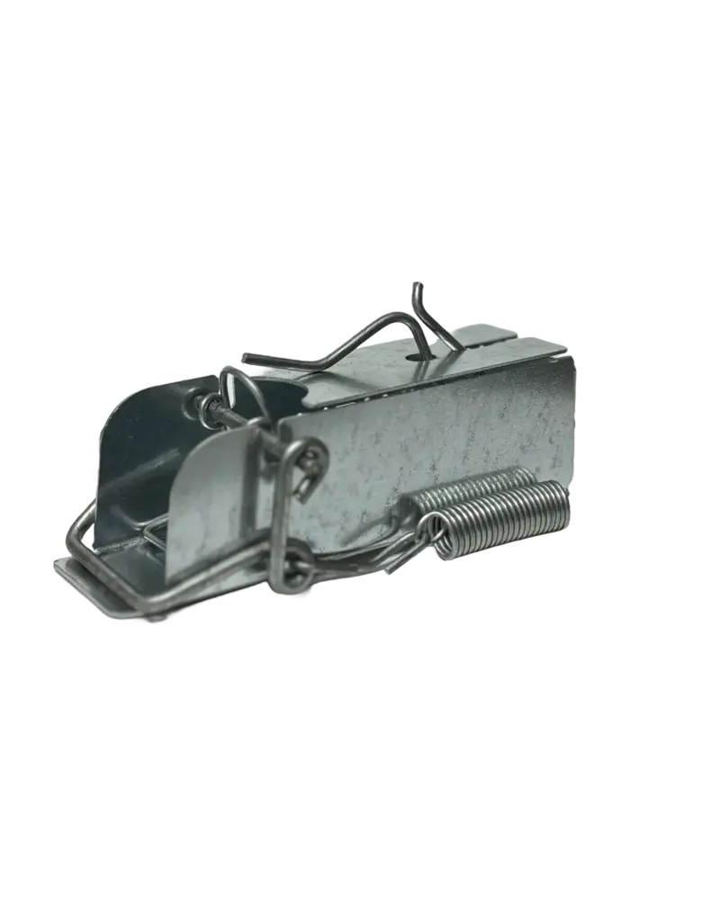 Ouell Mini Ouell Piège pour Souris et Taupe