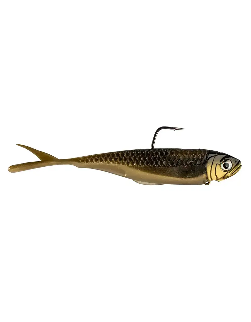 Zman Graph Shadz 3.8'' 1/4