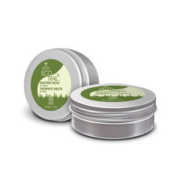 Druide Dentifrice Solide à la Menthe