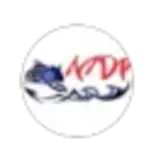 Malades de Pêche M. Flash V-Tail MDP pqt 8