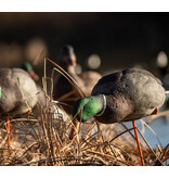 GSM Outdoors AXP Full Body Mallards: Fusion Pack