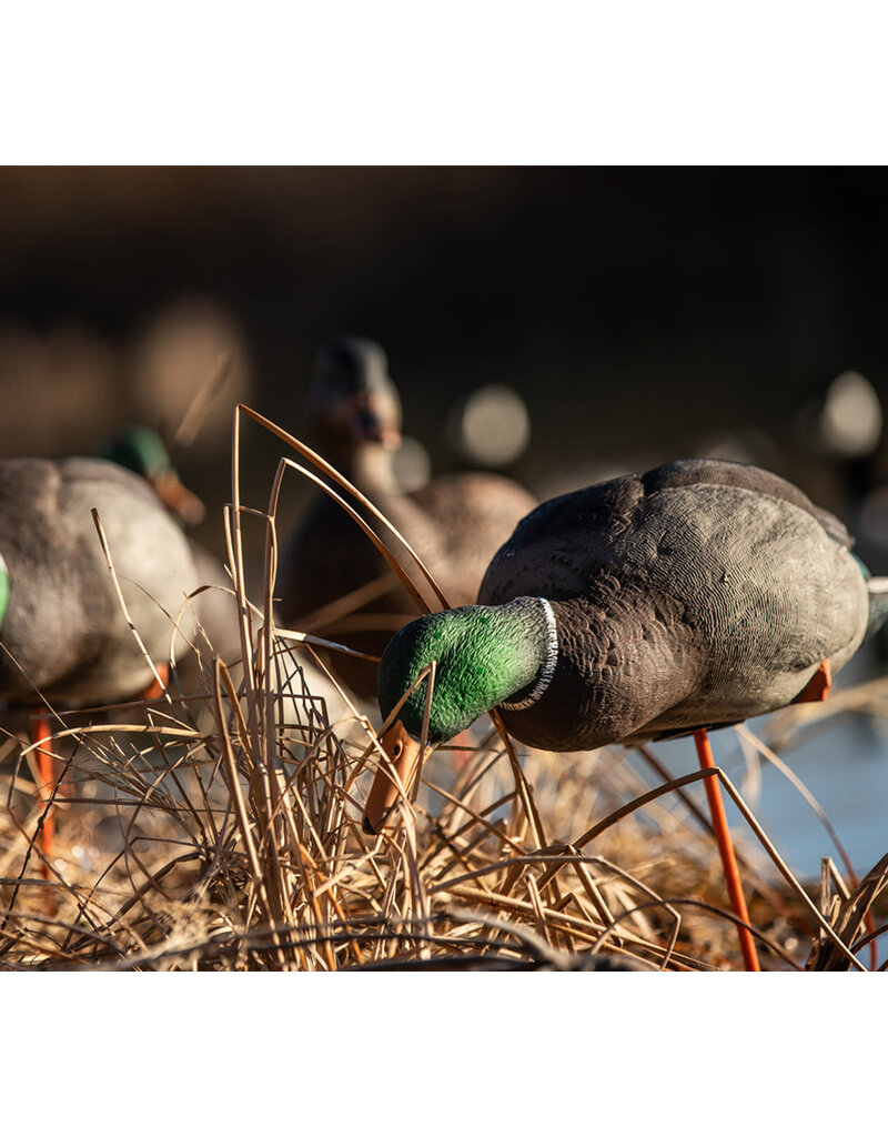 GSM Outdoors AXP Full Body Mallards: Fusion Pack