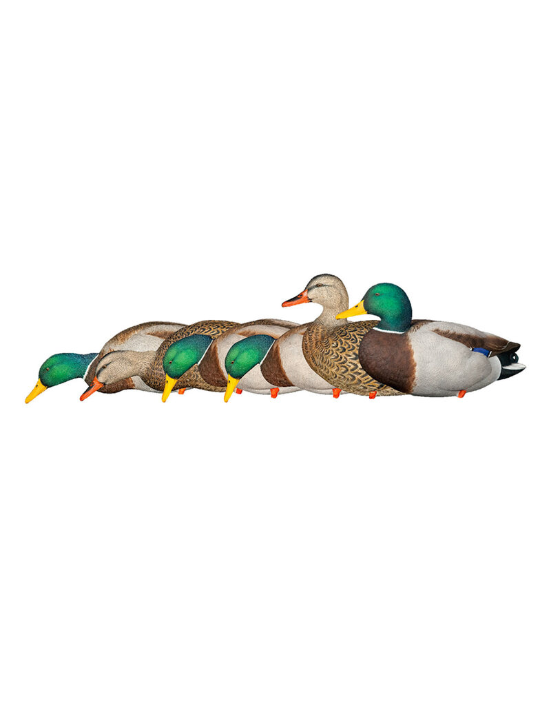 GSM Outdoors AXP Full Body Mallards: Fusion Pack