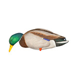 GSM Outdoors AXP Full Body Mallards: Fusion Pack