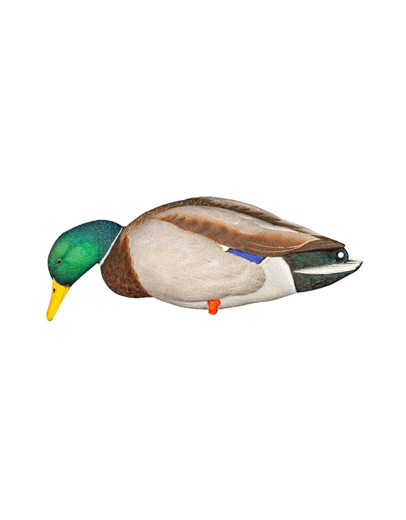 GSM Outdoors AXP Full Body Mallards: Fusion Pack