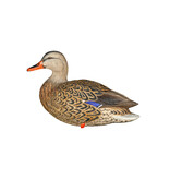 GSM Outdoors AXP Full Body Mallards: Fusion Pack
