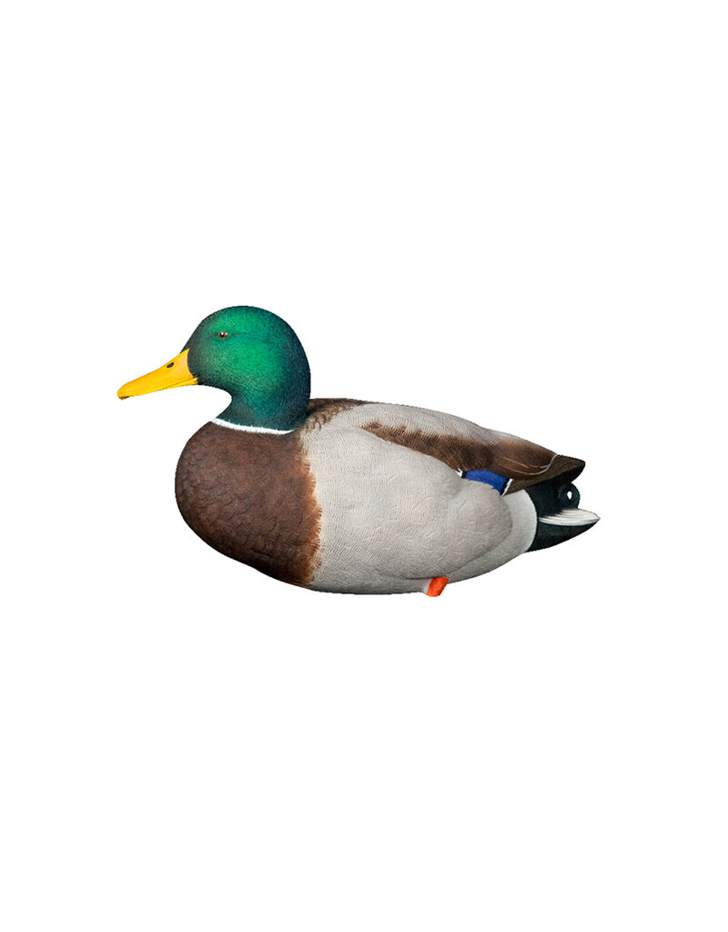 GSM Outdoors AXP Full Body Mallards: Fusion Pack