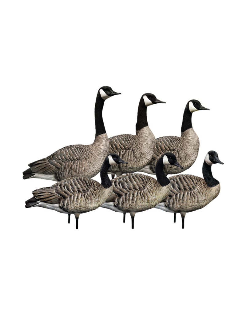 GSM Outdoors AXP Honkers Fusion Oies