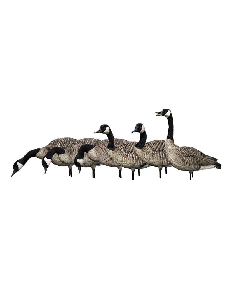 GSM Outdoors AXP Honkers Sentry-Walker