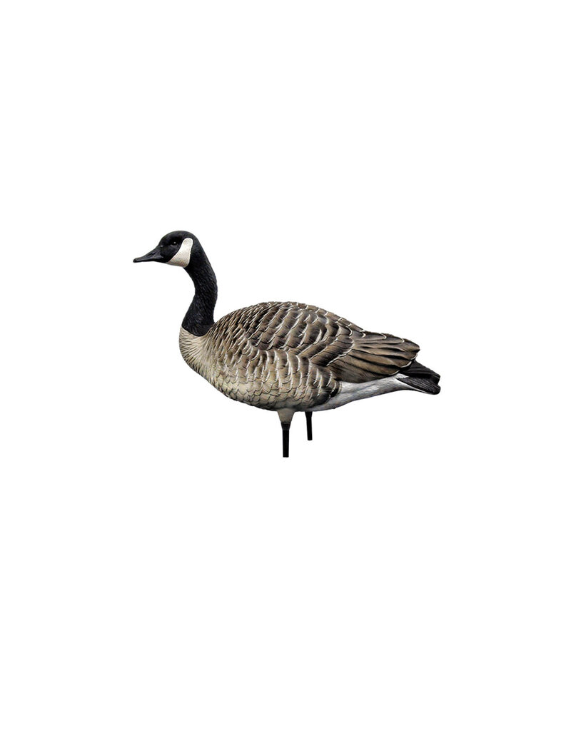 GSM Outdoors AXP Honkers Sentry-Walker