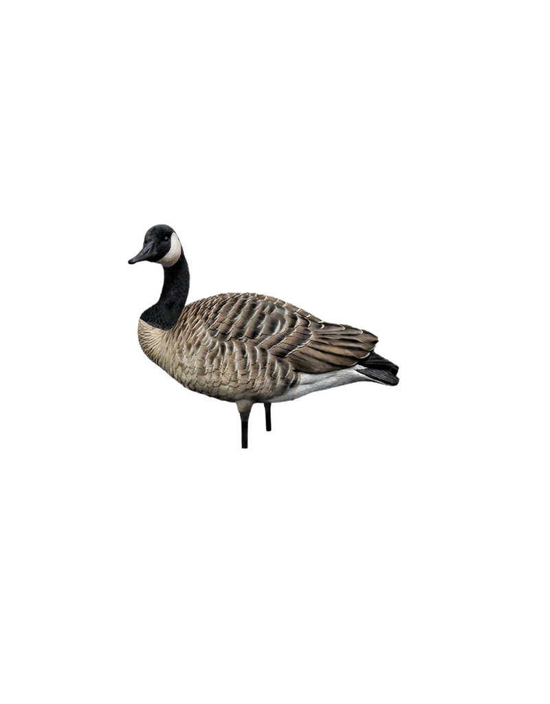 GSM Outdoors AXP Honkers Sentry-Walker