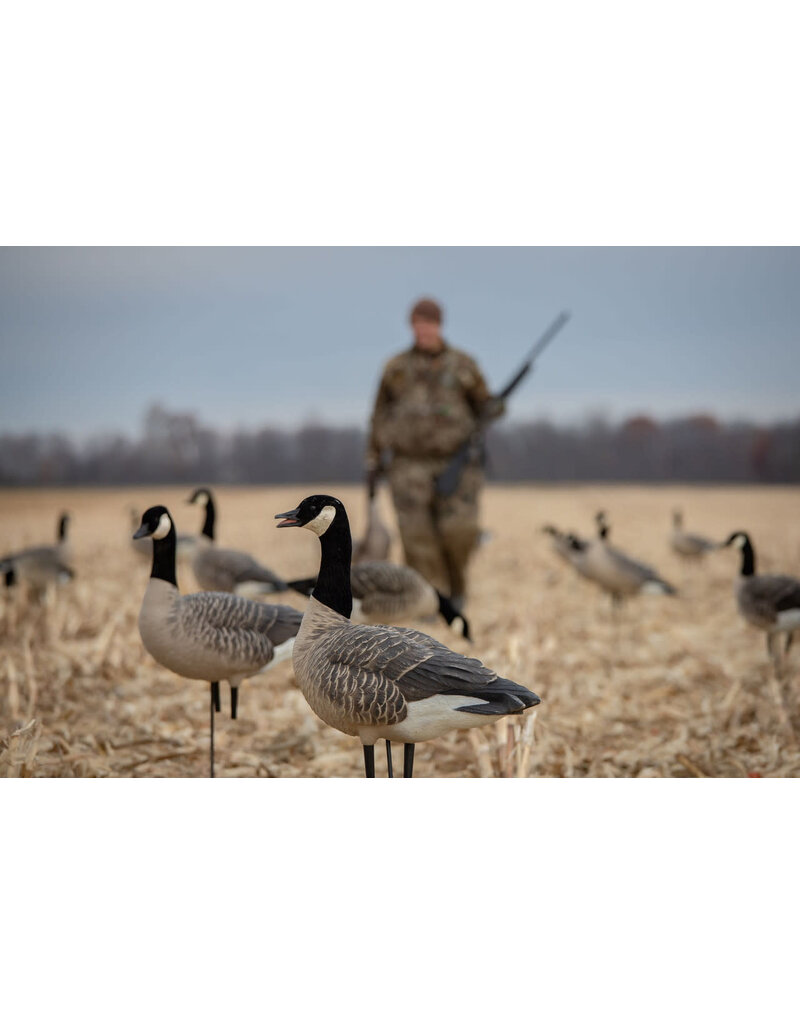 GSM Outdoors AXP Honkers Sentry-Walker