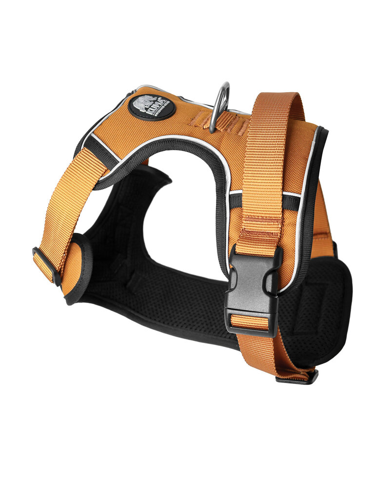 Kuma Harnais Pour Chien Lazy Bear