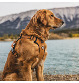 Kuma Harnais Pour Chien Lazy Bear