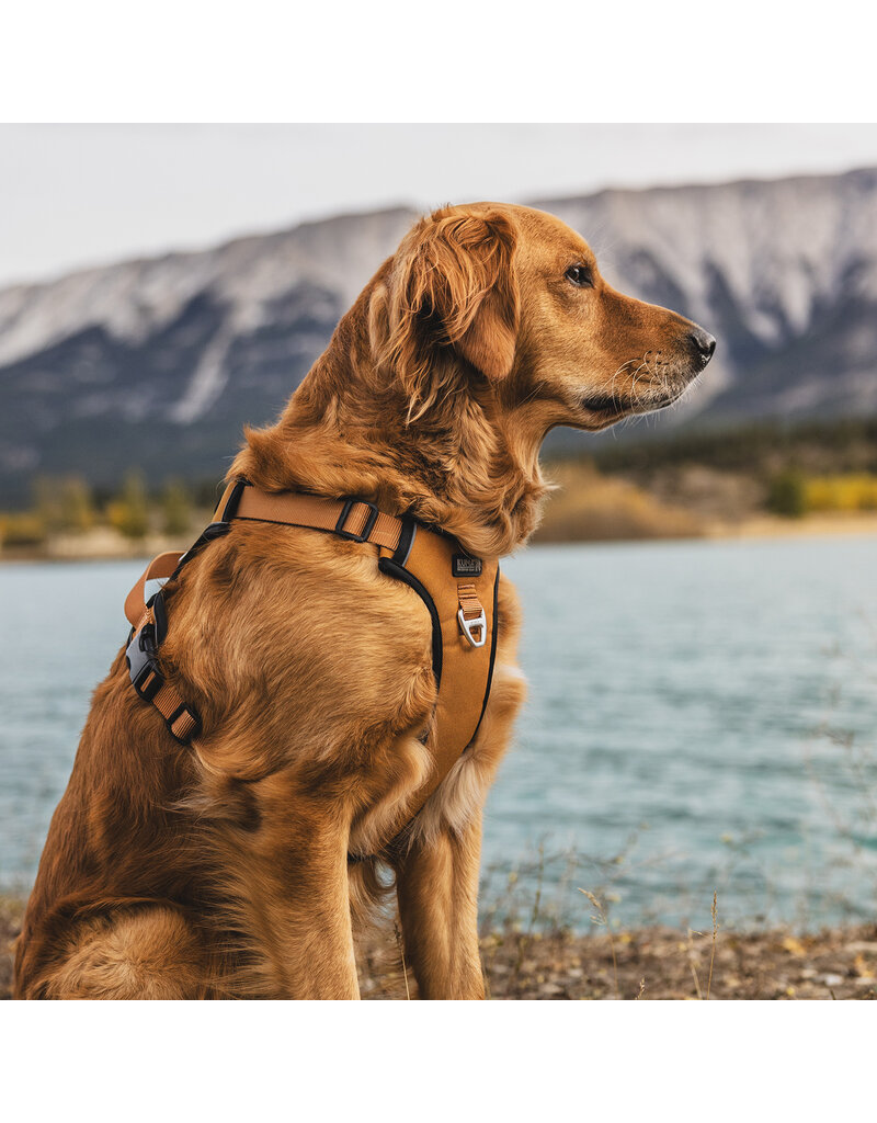 Kuma Harnais Pour Chien Lazy Bear