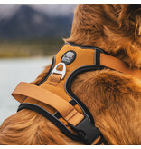 Kuma Harnais Pour Chien Lazy Bear