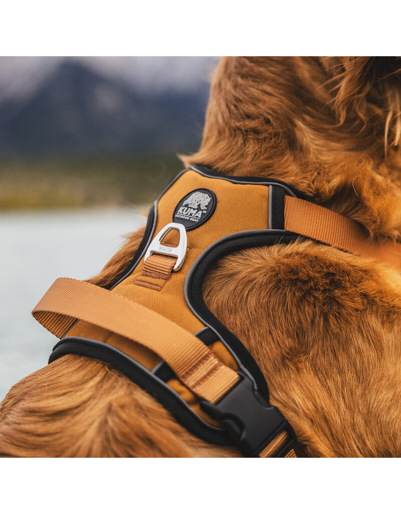 Kuma Harnais Pour Chien Lazy Bear