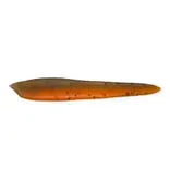 Malades de Pêche Sangsue MDP / pqt 8