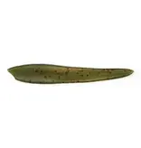 Malades de Pêche Sangsue MDP / pqt 8