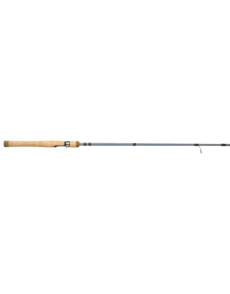 Canne Lancer Léger President 2 Pièces