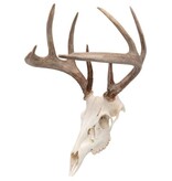 EZ Aim Crochet Mural Skull Peg