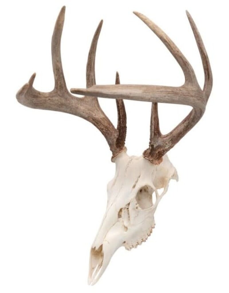 EZ Aim Crochet Mural Skull Peg