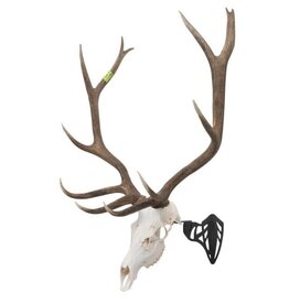 EZ Aim Support pour Crâne EZ Mount Magnum