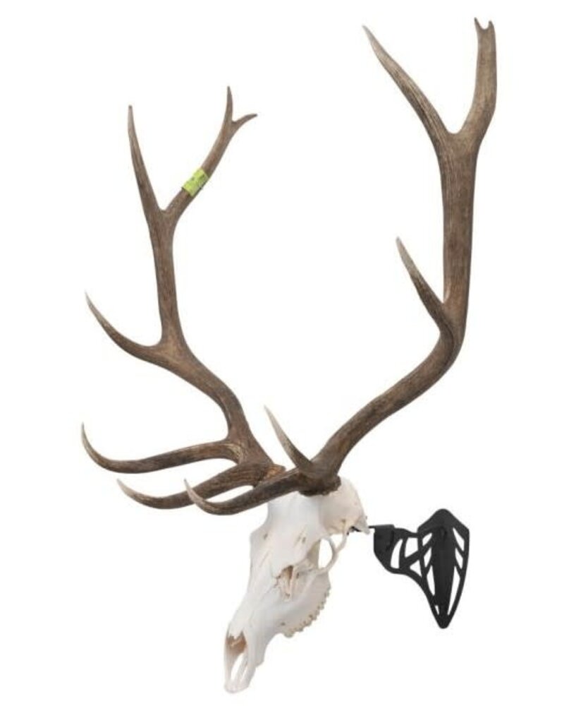 EZ Aim Support pour Crâne EZ Mount Magnum