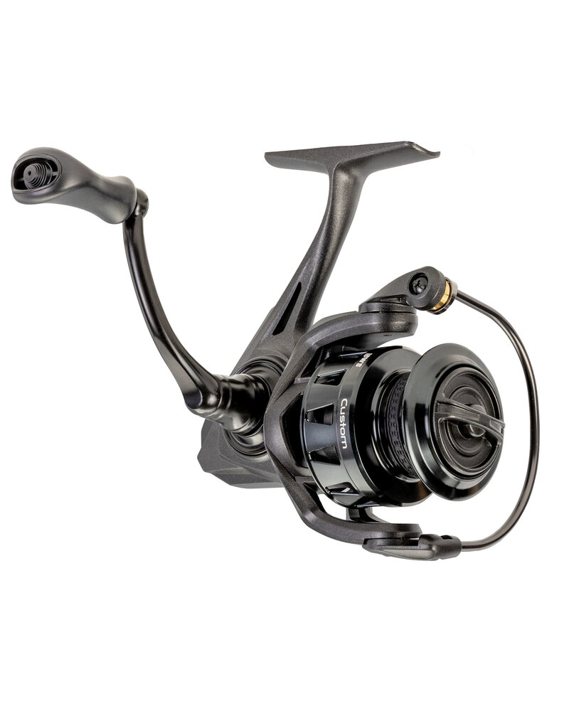 Lews Moulinet Custom