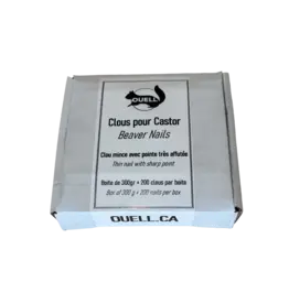 Ouell Clou Pour Castor