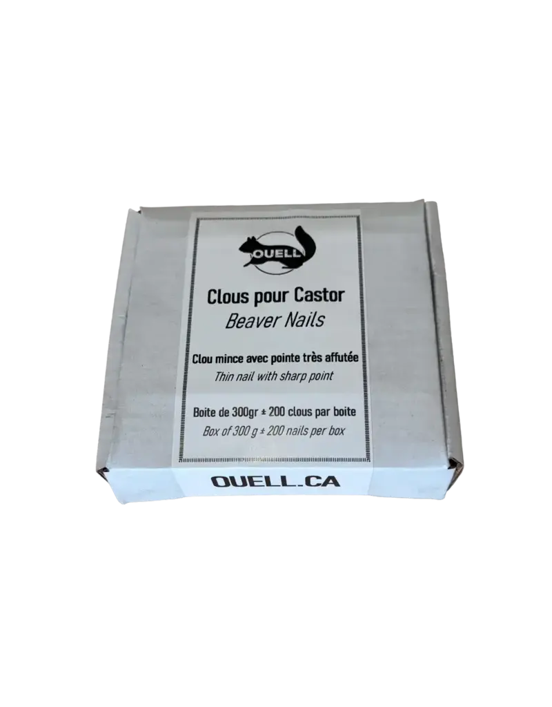 Ouell Clou Pour Castor