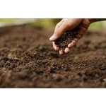 Soils/Growing Mediums