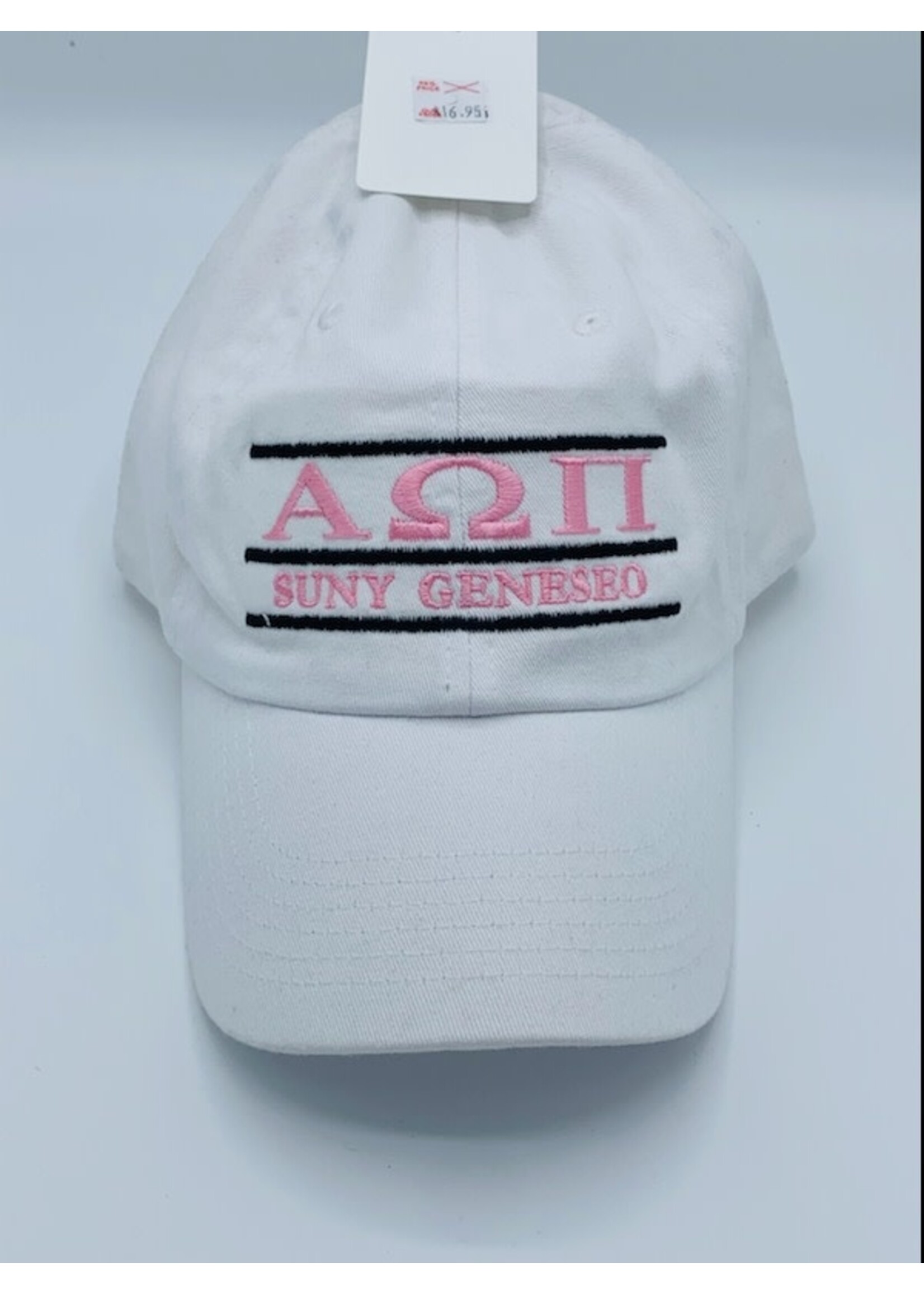 Hat_Alpha Omega Pi Suny Geneseo