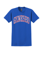 Gildan Geneseo Buffalo Backers Tee