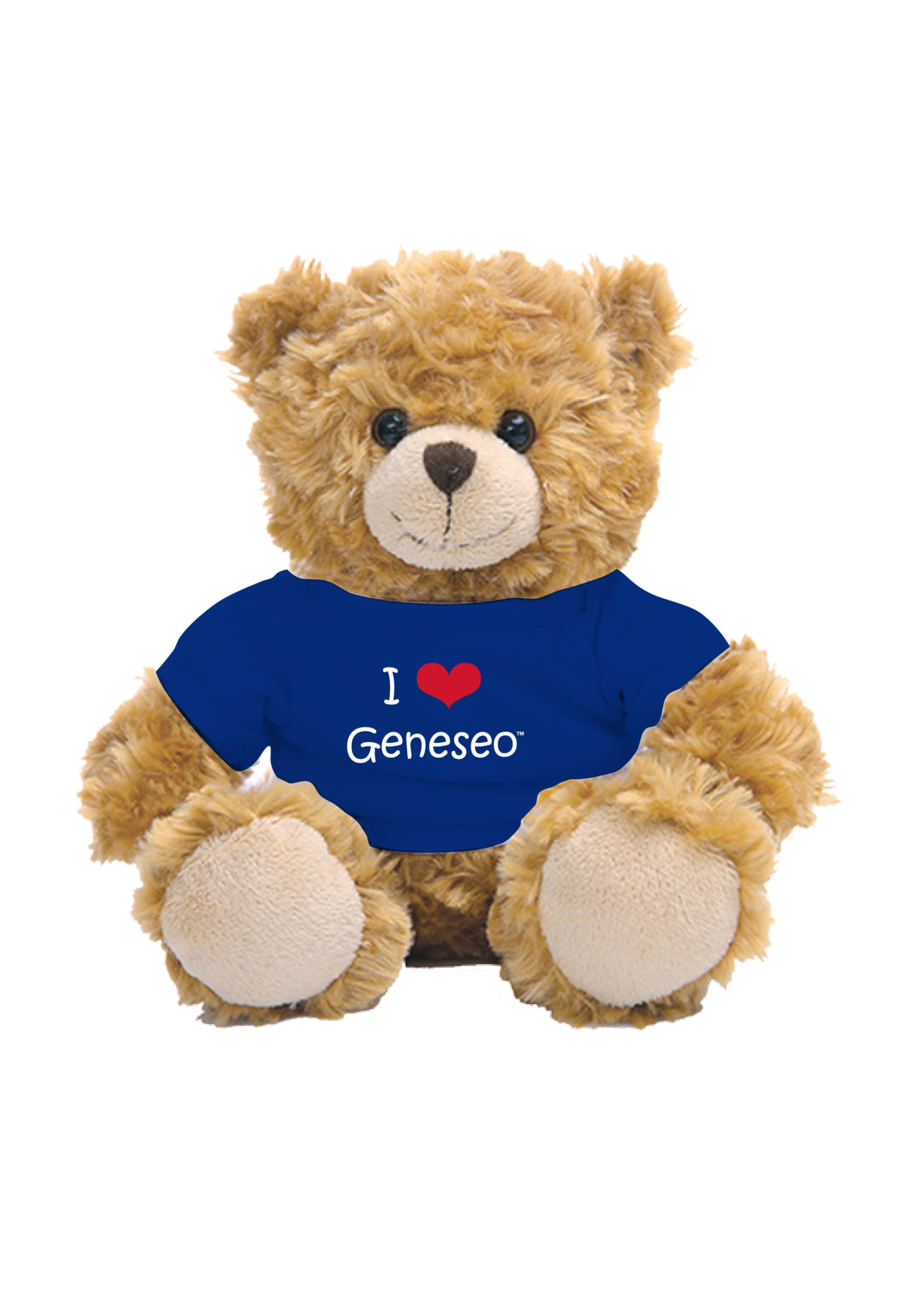 I HEART Geneseo 10" Bear