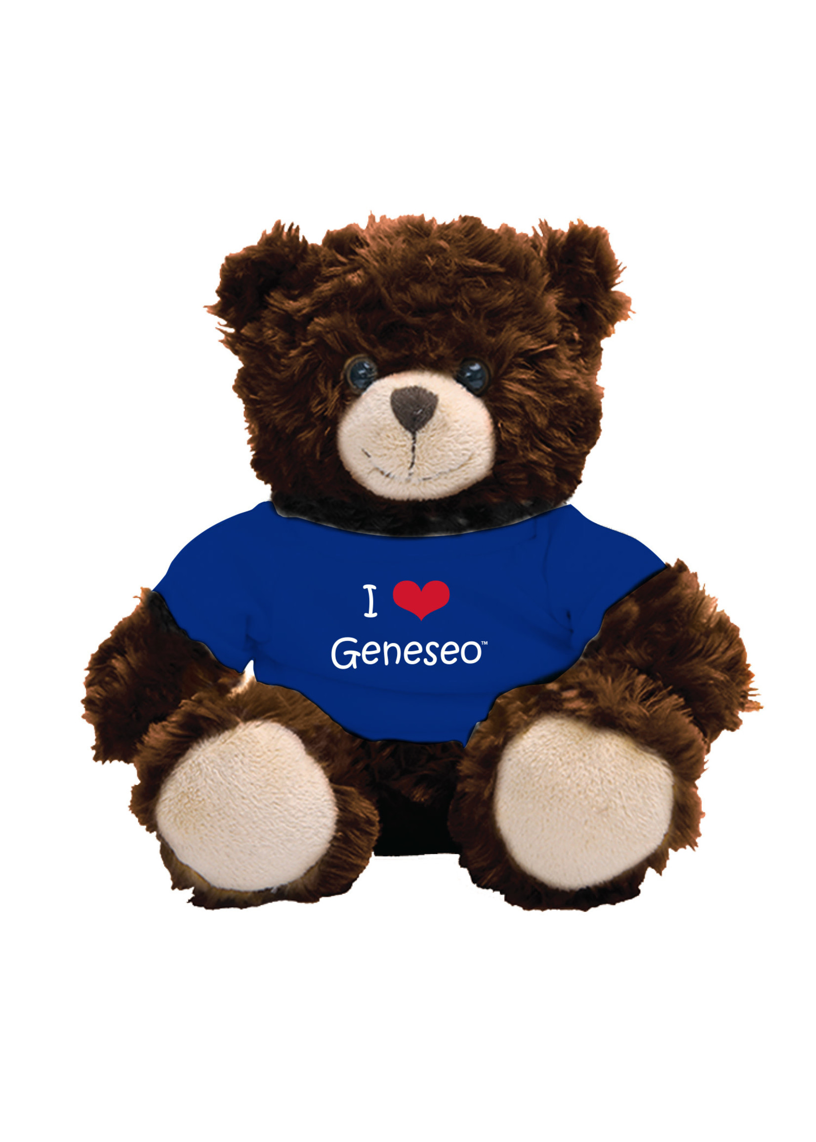 I HEART Geneseo 10" Bear