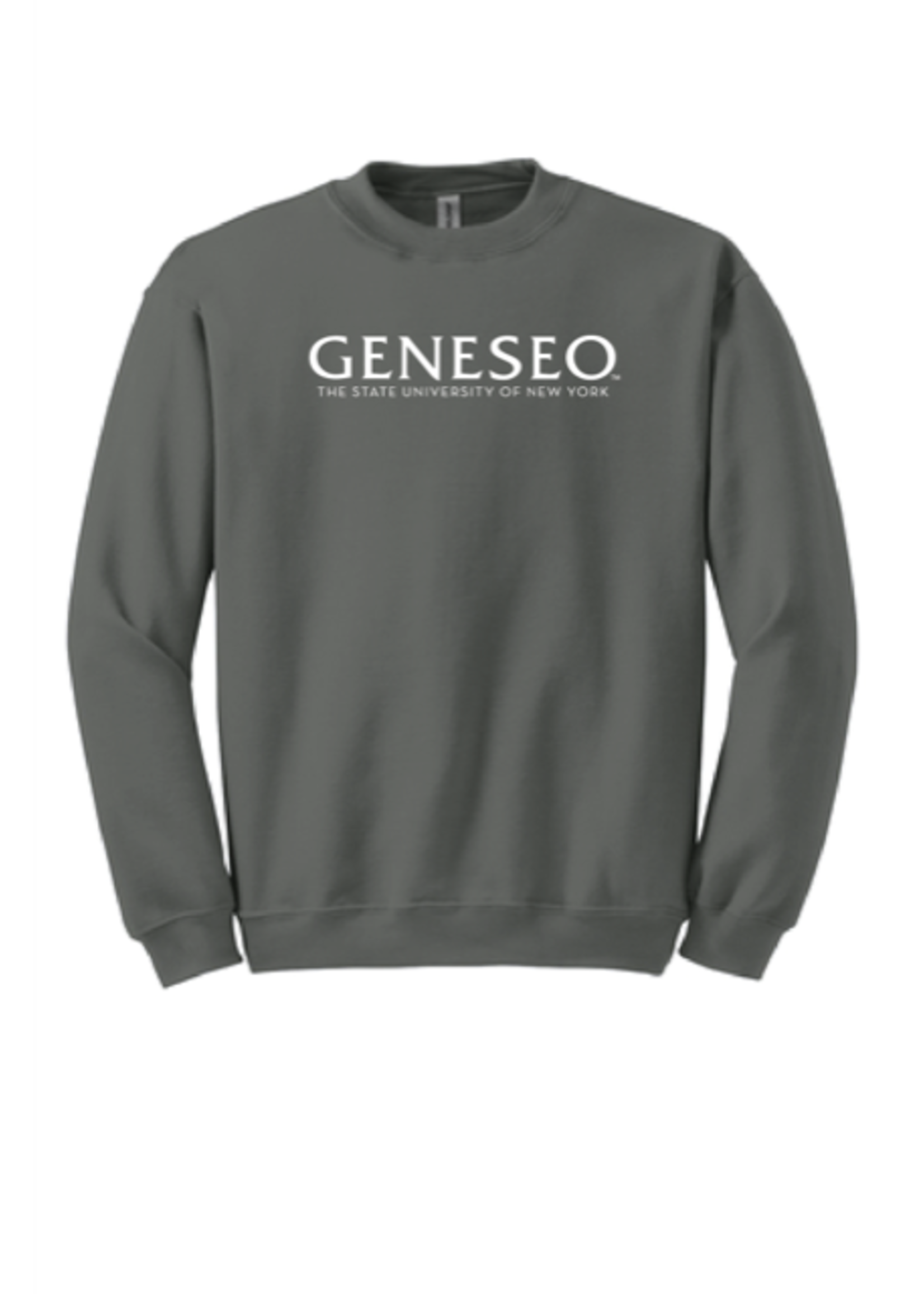 Gildan Geneseo Wordmark Crew Neck Sweatshirt