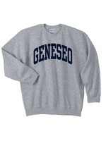 Gildan Geneseo Arch Crew Neck Sweatshirt