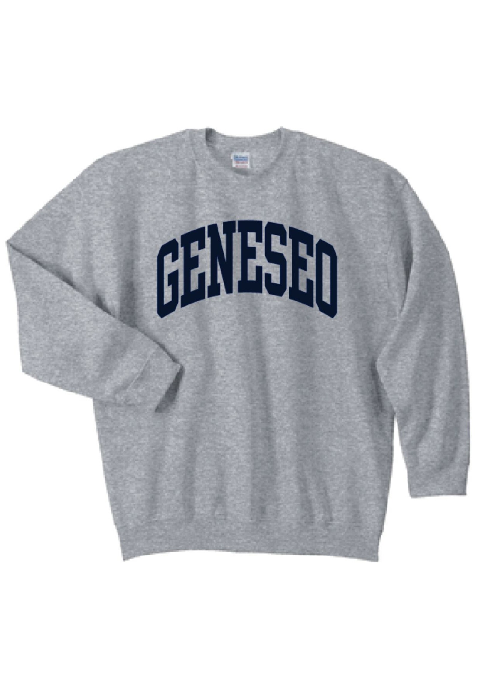 Gildan Geneseo Arch Crew Neck Sweatshirt