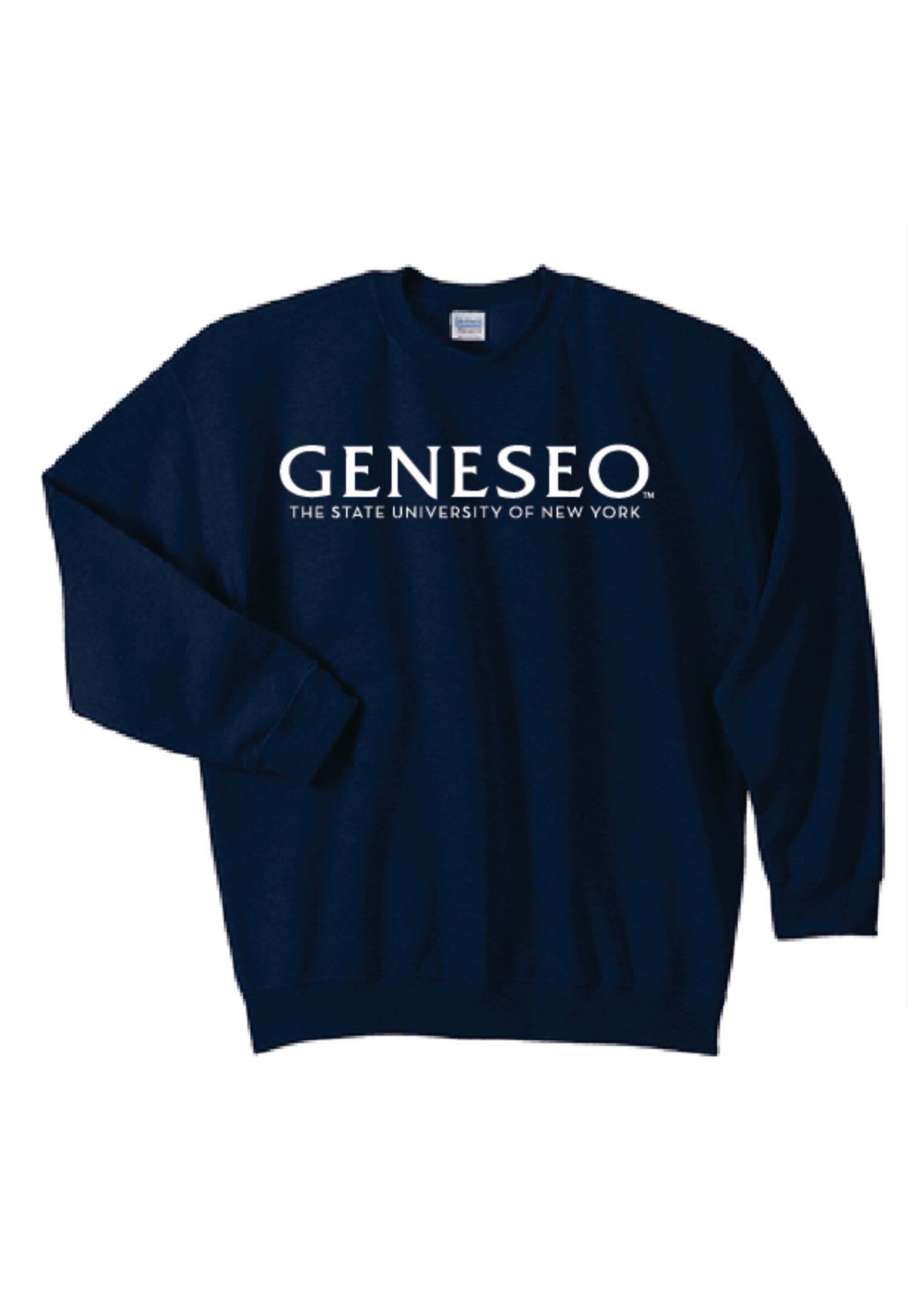 Gildan Geneseo Wordmark Crew Neck Sweatshirt