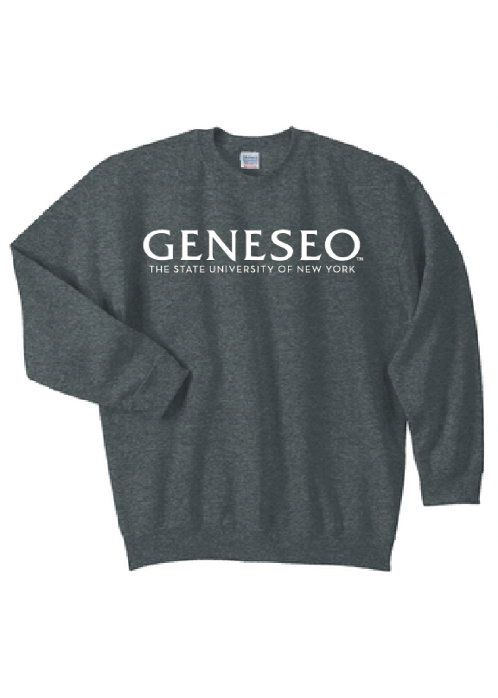 Gildan Geneseo Wordmark Crew Neck Sweatshirt