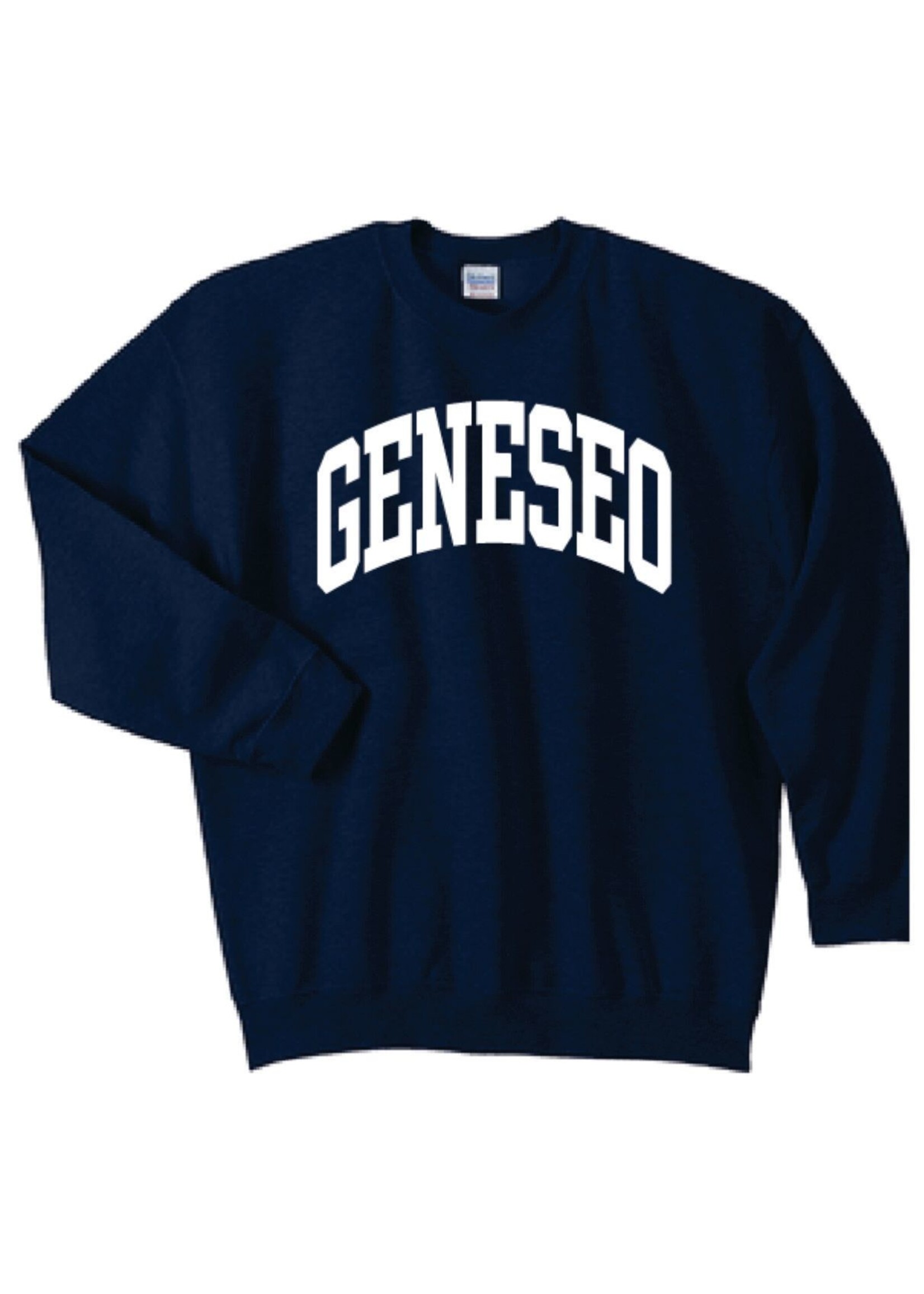 Gildan Geneseo Arch Crew Neck Sweatshirt