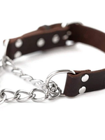 Mighty Paw Mighty Paw Martingale Collar Small