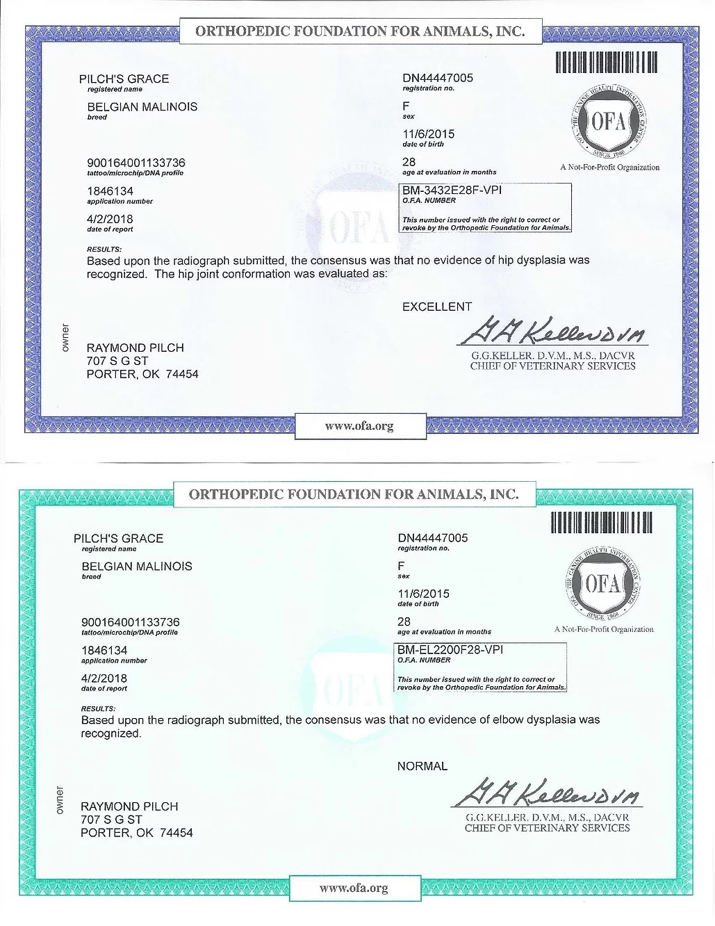 Grace OfA Cert