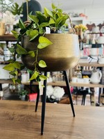 Metal Planter/with legs Antique Gold