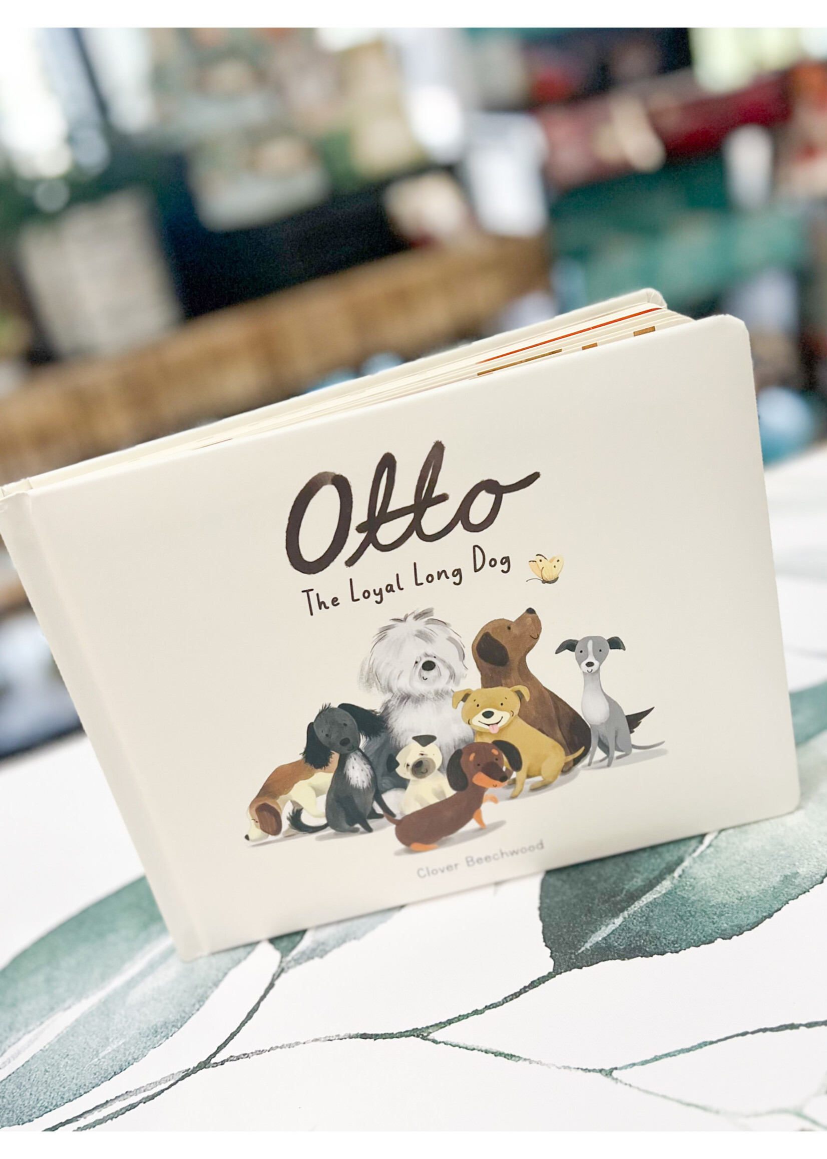Jellycat Jelly Cat Book